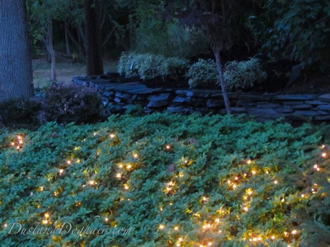 LANDSCAPERS: 10 OUTDOOR LIGHTING IDEAS TO MAKE GARDENS GLOW