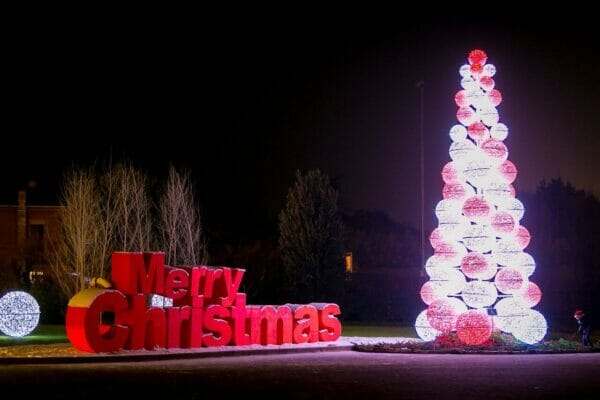 CHRISTMAS LIGHT TREES