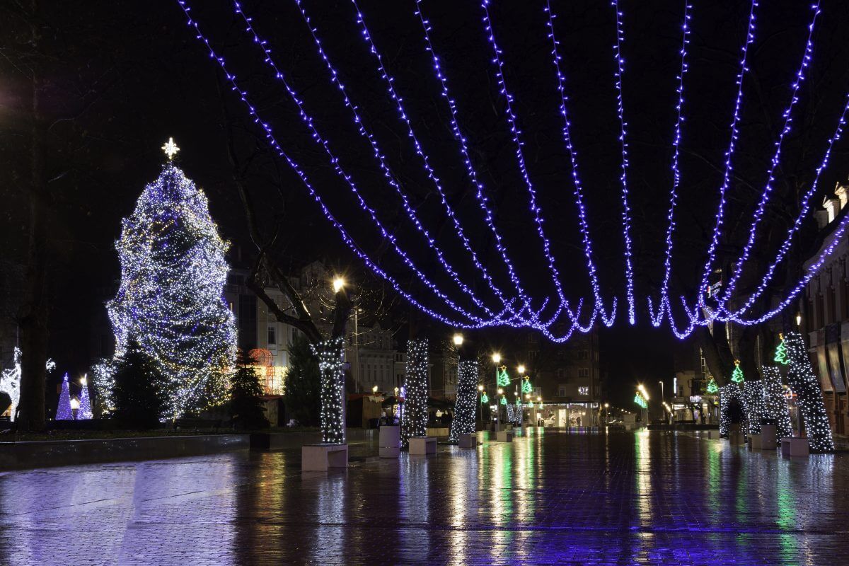 Commercial Christmas lights