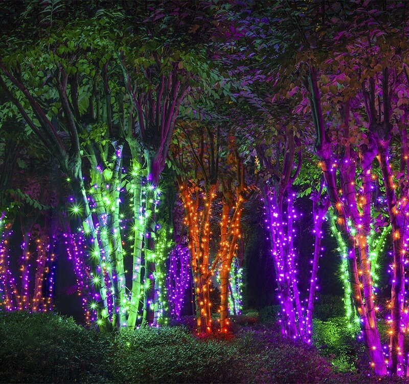 Halloween Lighting