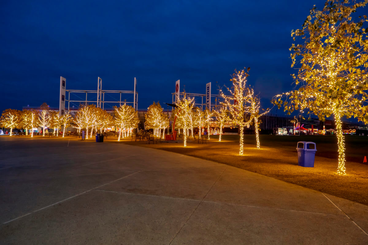 professional Christmas lighting