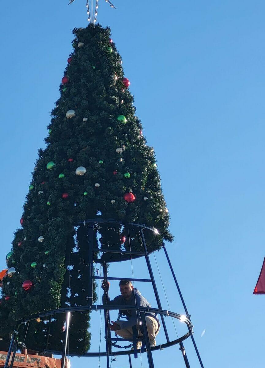 Giant Panel Tree