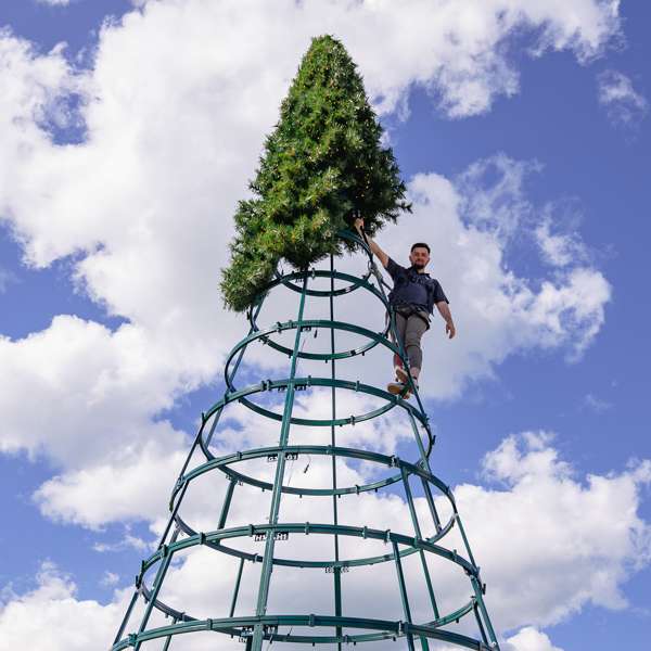 Giant Panel Trees