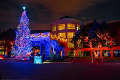Commercial Giant Panel Tree