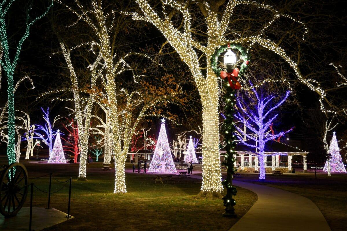 Permanent Christmas Lights