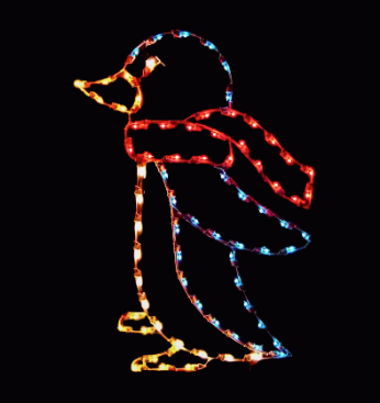 Christmas light Displays