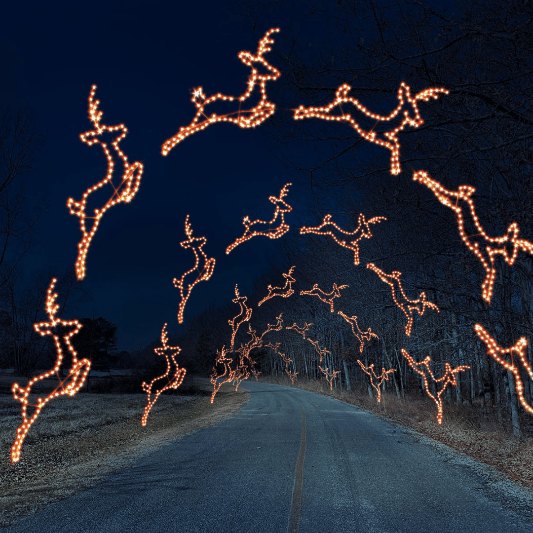 Arches, Skylines, and Signs