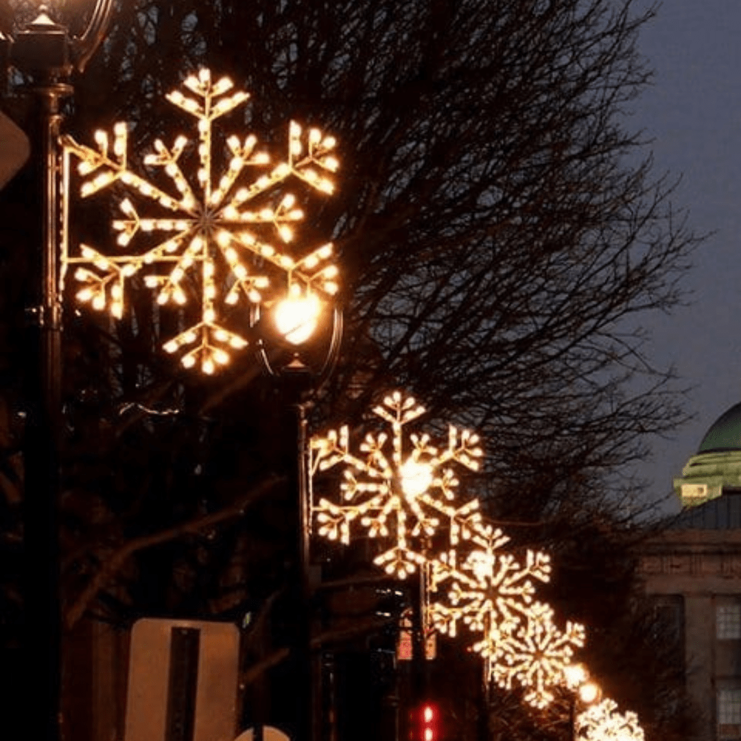 Light Pole Mount Decorations